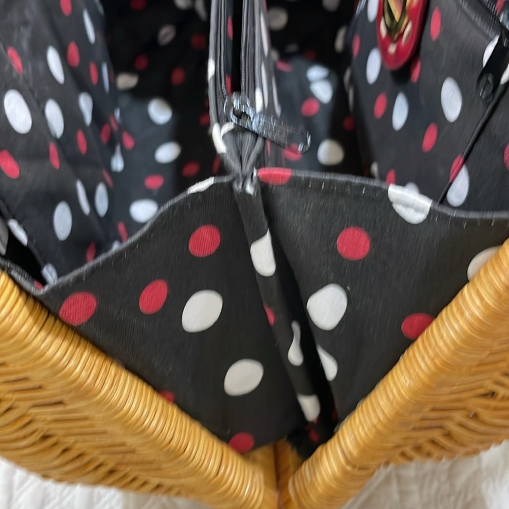 Just a cute straw bag with red leather accents... Fun for fall!๐๐๐ - Picture 9 of 11